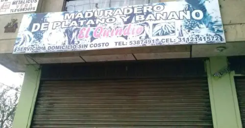MADURADERO DE PLATANO Y BANANO EL QUINDIO BOGOTÁ MADURADERO DE PLATANO Y BANANO EL QUINDIO BOGOTÁ
